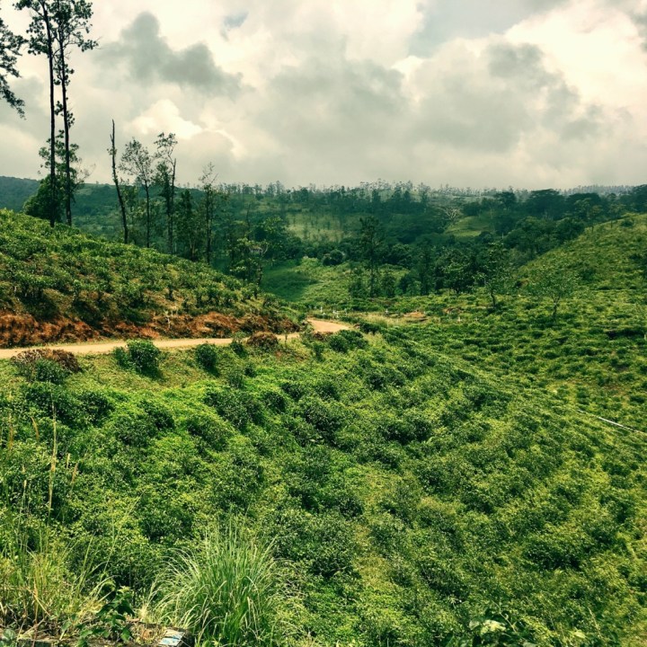 UNADJUSTEDNONRAW_thumb_5a09